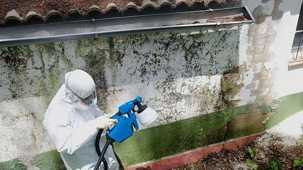Top rated local Mold Remediation specialists in Frenchville, PA